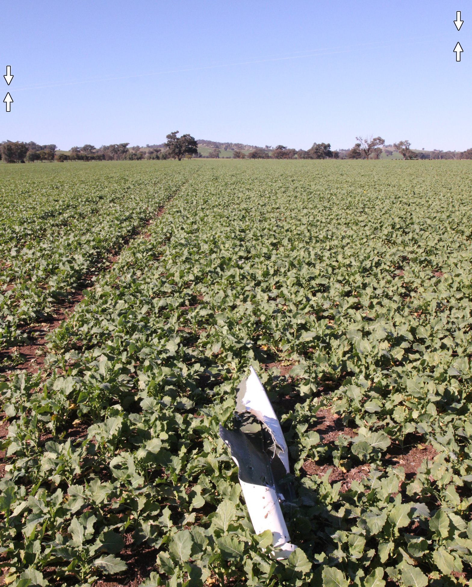 Figure 7: The powerline (electrical wires arrowed) looking back along the flight path. A piece of the leading edge skin from the left wing is also shown